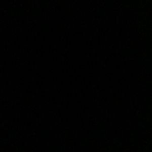 Meet your Posher, Pauline